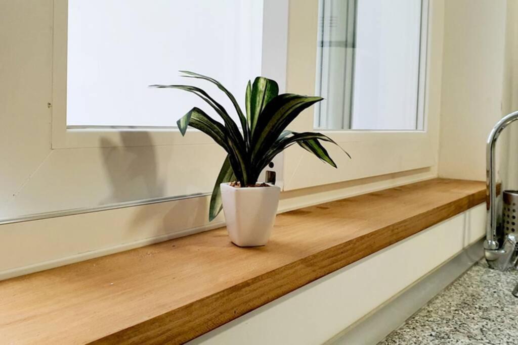 Apartamento Interior En Absoluto Centro En Algeciras 1º A Eksteriør billede